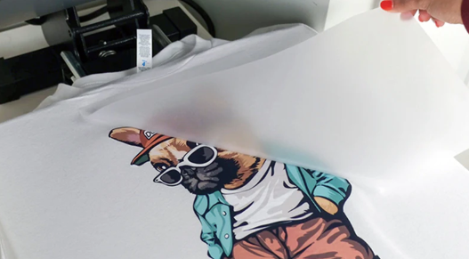Why Apparel Brands Are Moving Toward DTF Transfer Printing