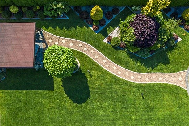 What Should You Consider Before Starting a Landscaping Project?