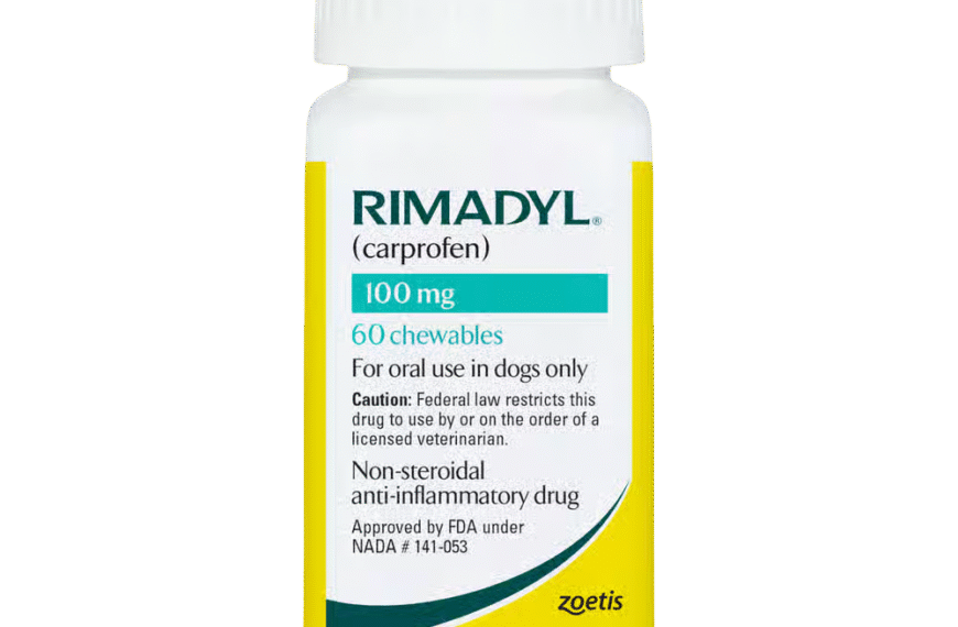 What Is Rimadyl for Dogs?