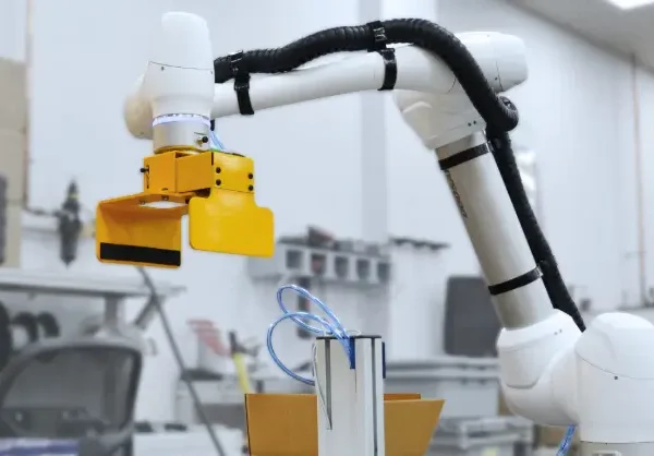 Why Case Packer Machine Is Transforming Modern Packaging and Automation Industry