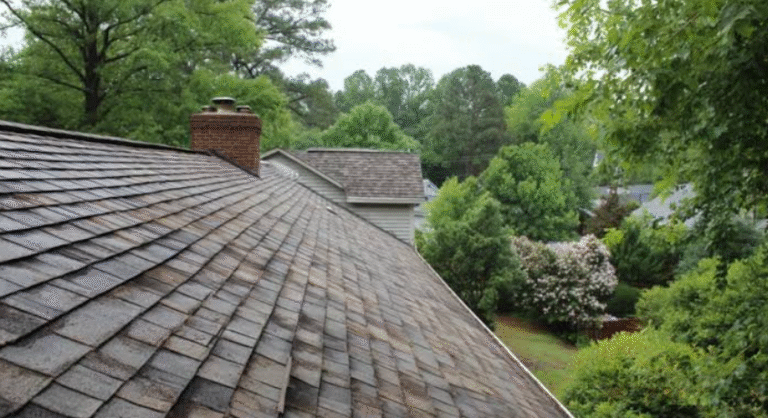 The Real Math Behind Replacing A Twenty Year Old Shingle Roof
