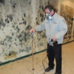 How Much Does Mold Testing Cost in NYC? 