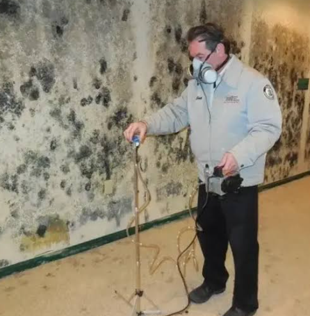 How Much Does Mold Testing Cost in NYC? 